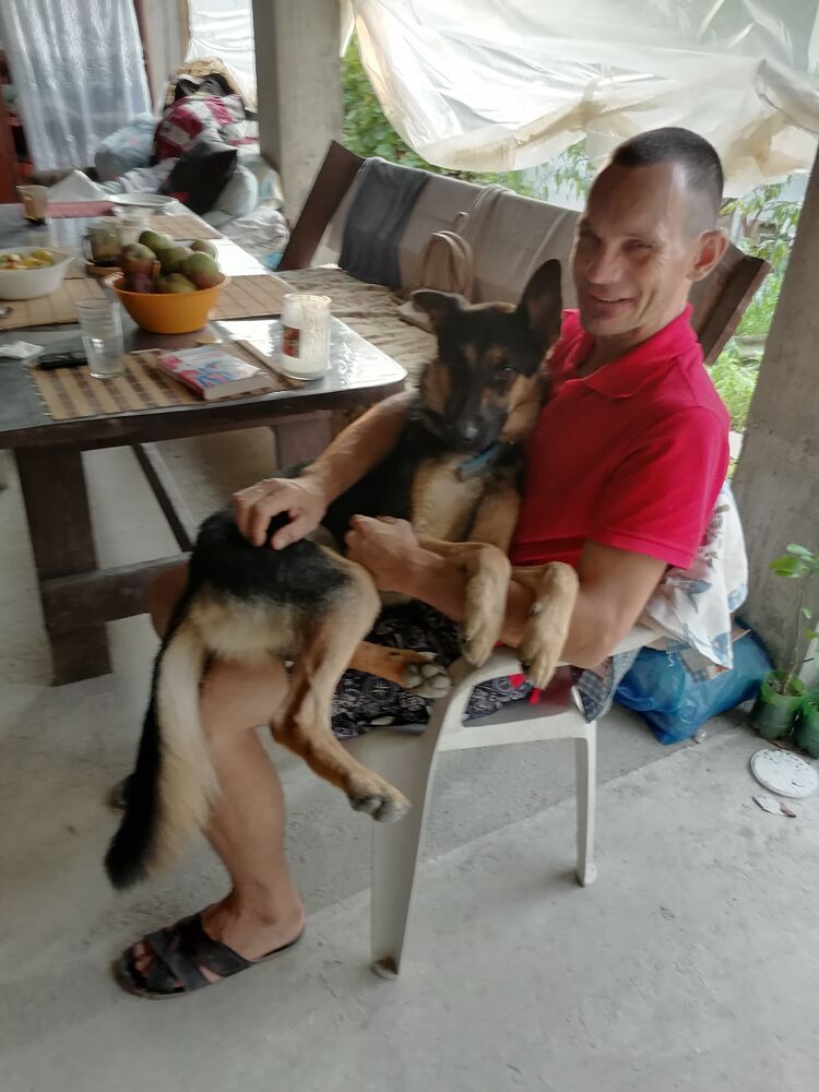 ���������� ����, ���� ������� DeemAn, 38 ���, ������������ ��� ������, ����� � ���������, c�������� ���������, ���������