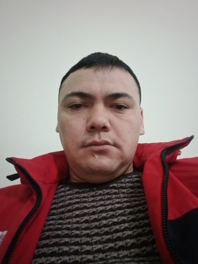  34009759  , 33 ,    