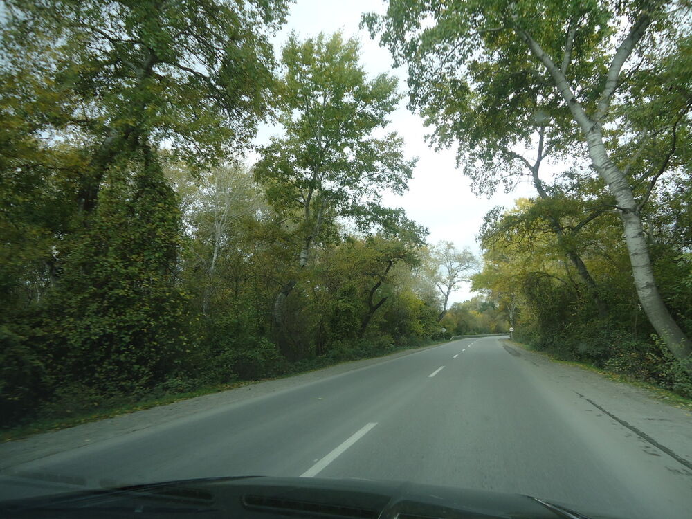 ���� 5366119 ������� Ali, 45 ���, ���� ���������� � ����