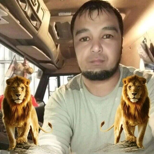  33653559  , 46 ,    -