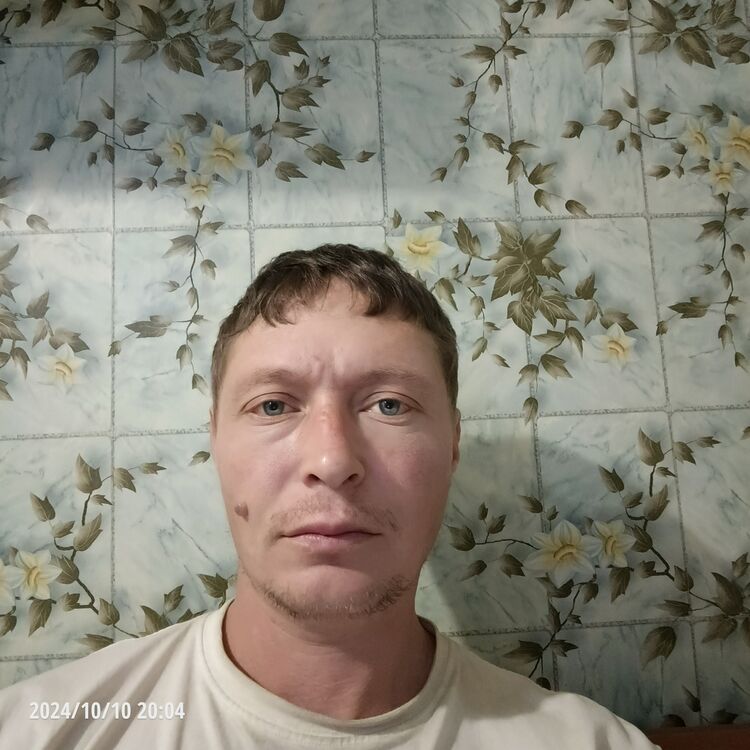  46807919  , 38 ,    