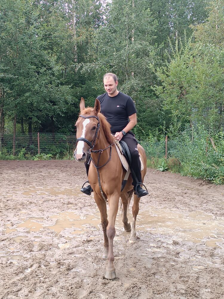 ���� 46368299 ������� �������, 31 ���, ���� ���������� � �����-����������