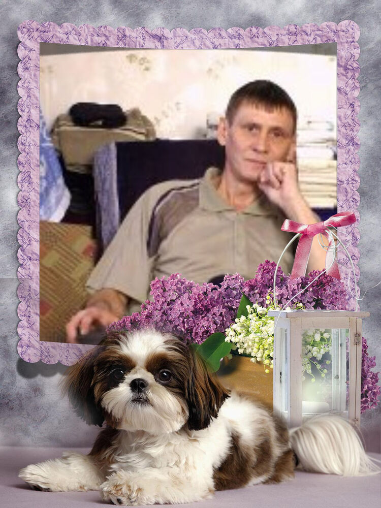  ,   , 56 ,   , 