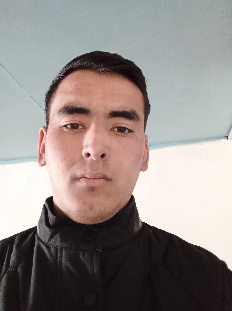  33603879  , 24 ,    