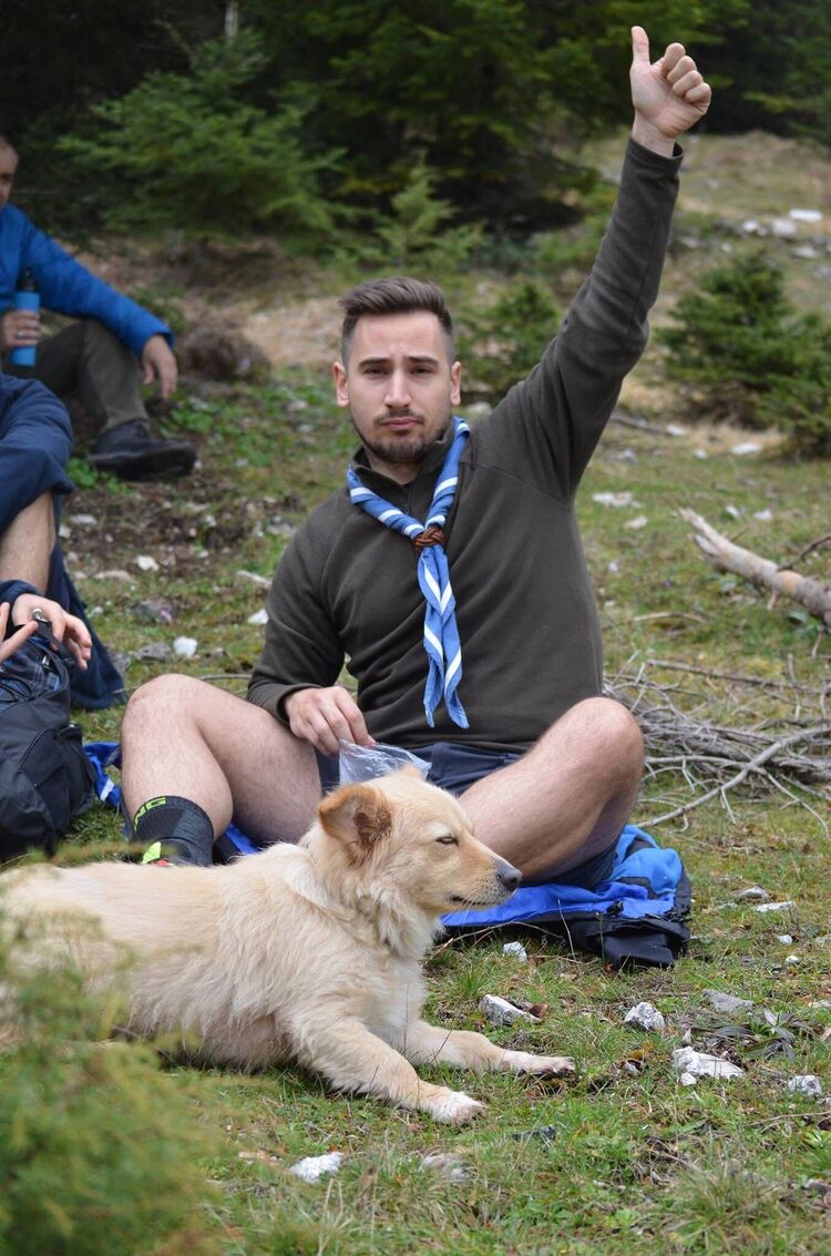 ���������� ������, ���� ������� Artemios, 36 ���, ������������ ��� ������, ����� � ���������, ���������