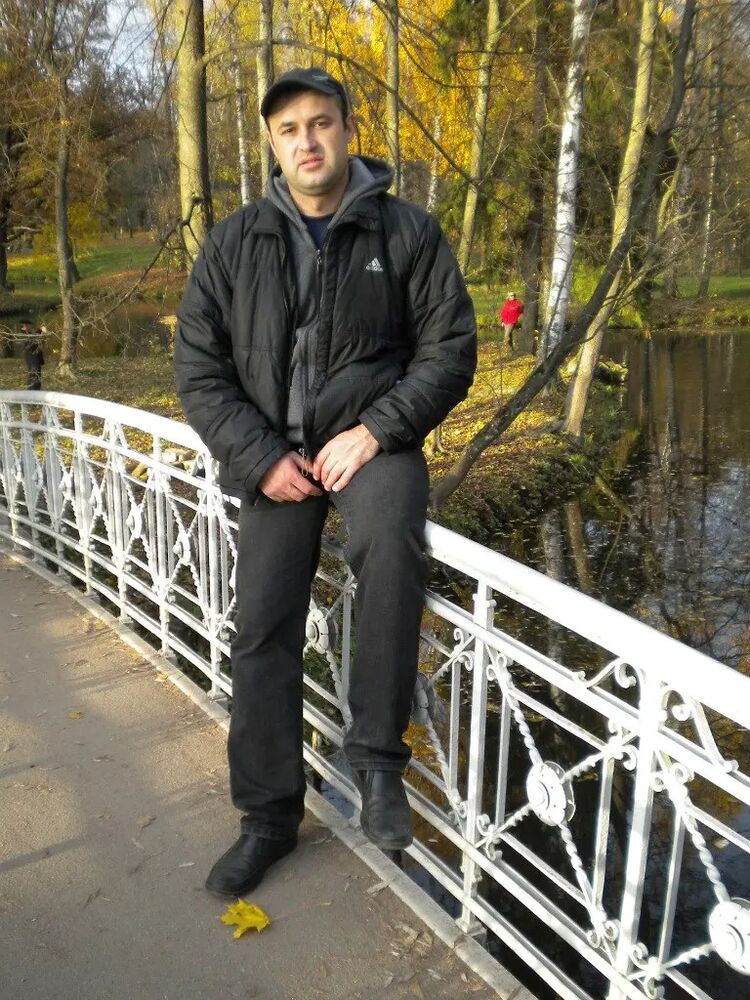  44281069  , 43 ,    -