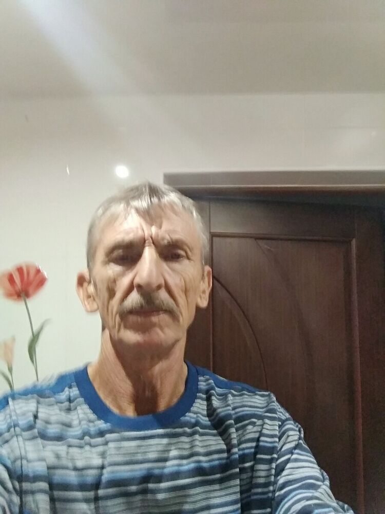  21331269  , 63 ,    