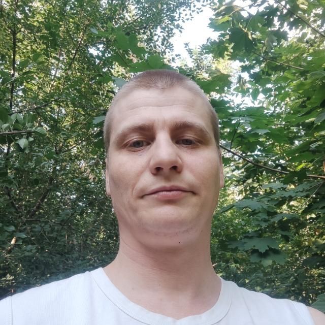  50543449  , 34 ,    