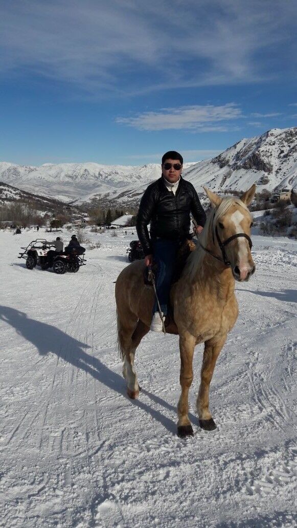  ,   Akrom, 40 ,   ,   , c , 