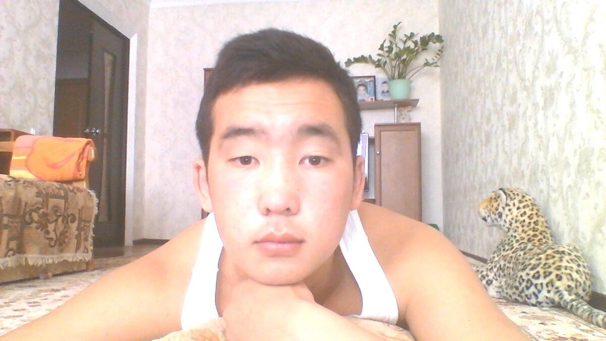  4338369  , 30 ,    