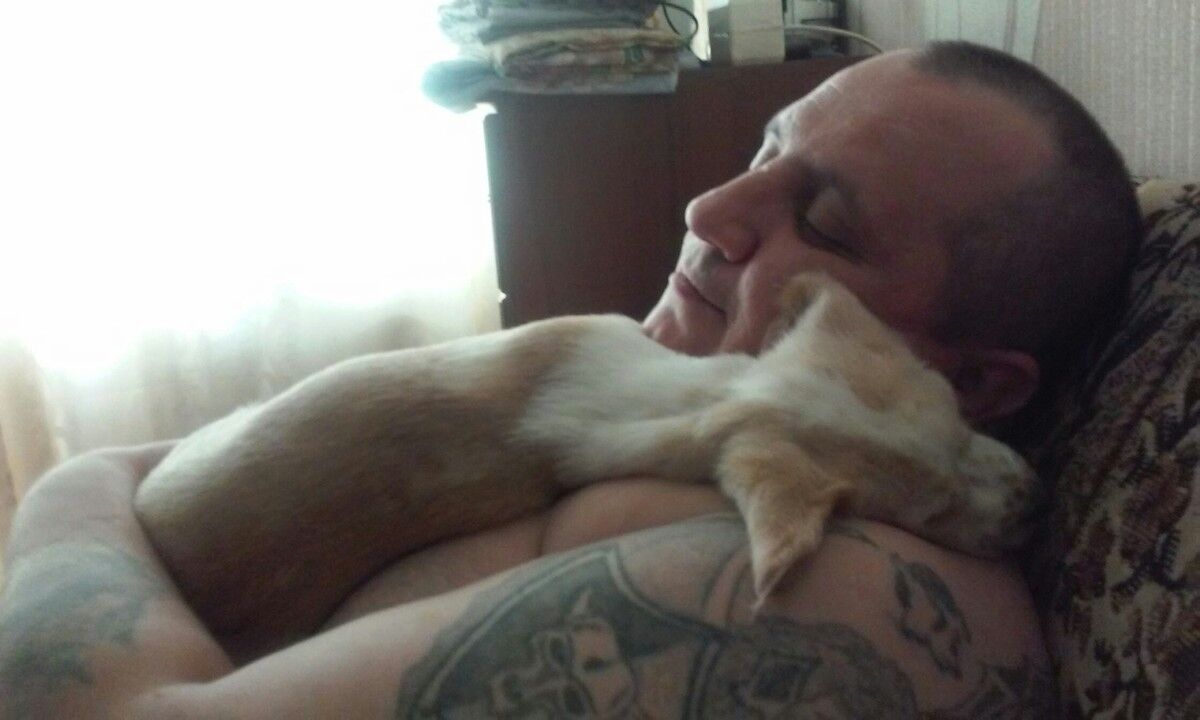  ,   , 49 ,   
