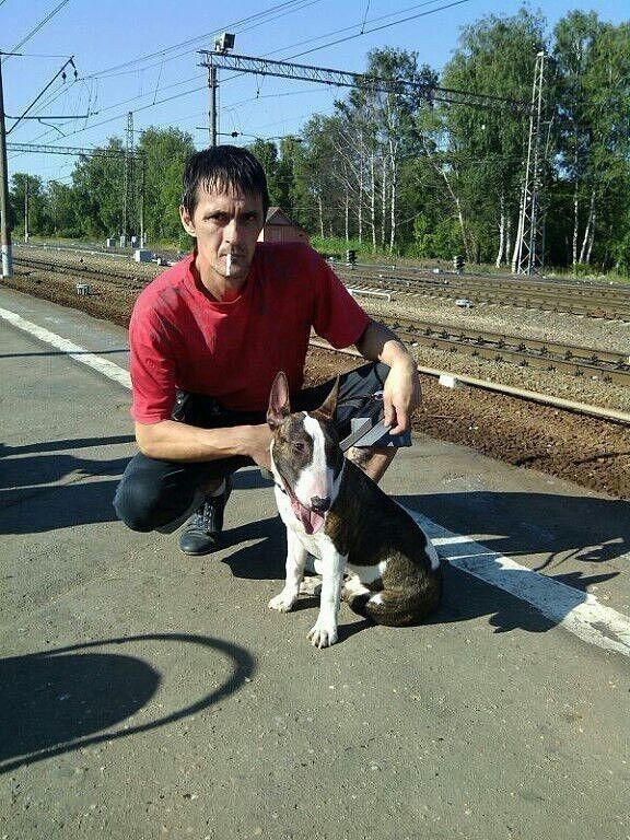 ���� 16861769 ������� �����, 51 ���, ���� ���������� � ������