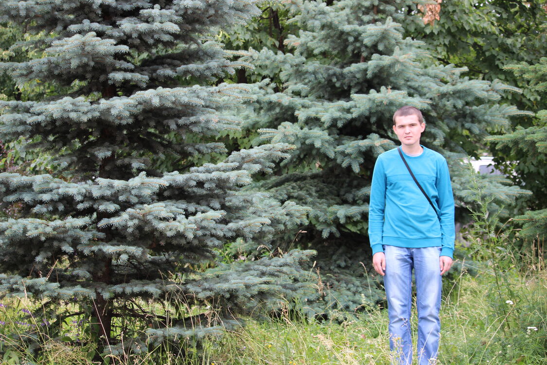 ���������� ��������, ���� ������� ���������, 35 ���, ������������ ��� ����� � ���������, c�������� ���������