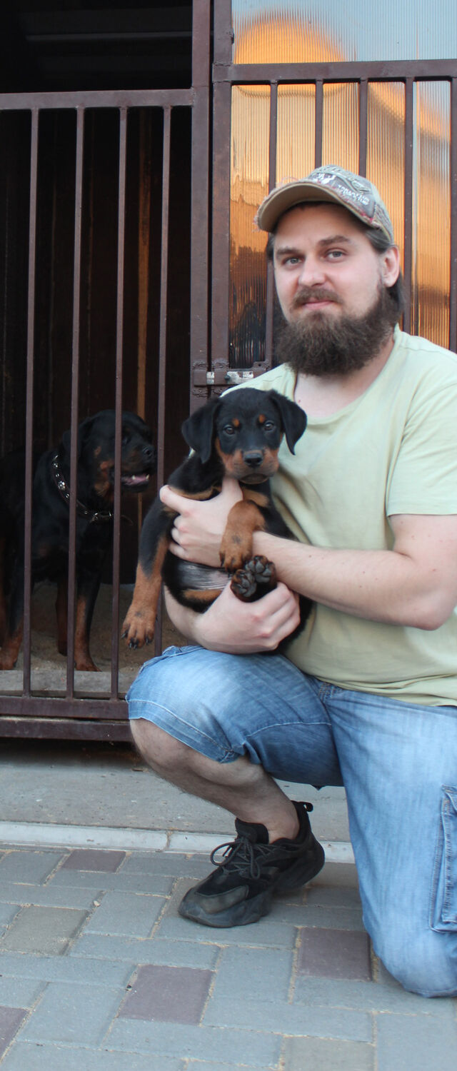 ���������� ��������, ���� ������� �������, 37 ���, ������������ ��� ������, ����� � ���������, c�������� ���������, ���������