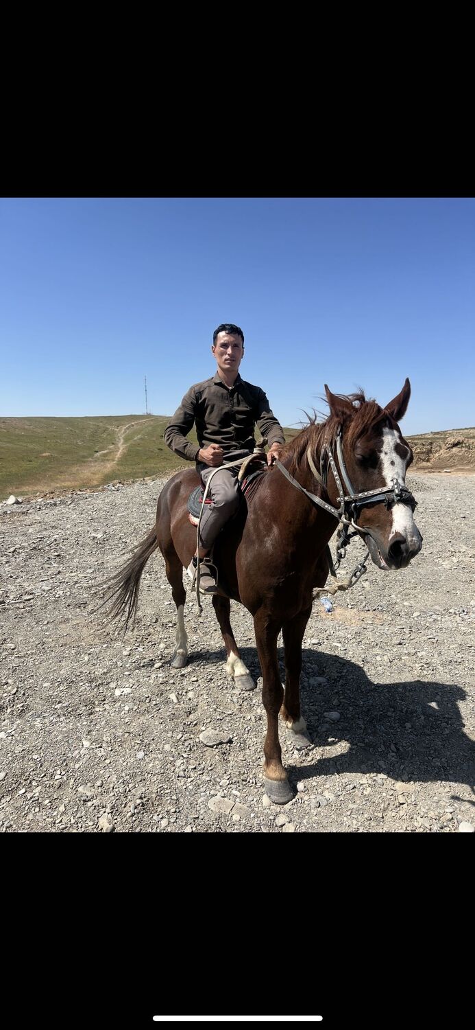 ���� 52823299 ������� Jasur, 31 ���, ���� ���������� � ��������