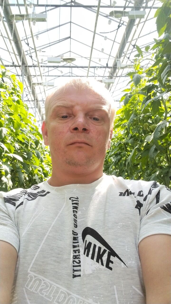 ���������� �������, ���� ������� ����, 38 ���, ������������ ��� ������, ����� � ���������, c�������� ���������, ���������