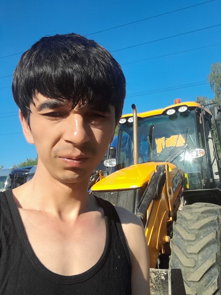  28038599  , 33 ,    