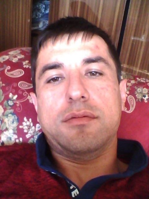  9508149  , 39 ,    -