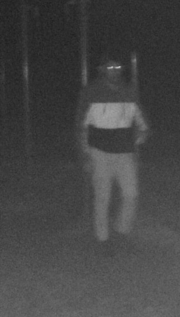 ���������� ������, ���� ����� �����, 24 ����, ������������ ��� ������, ����� � ���������