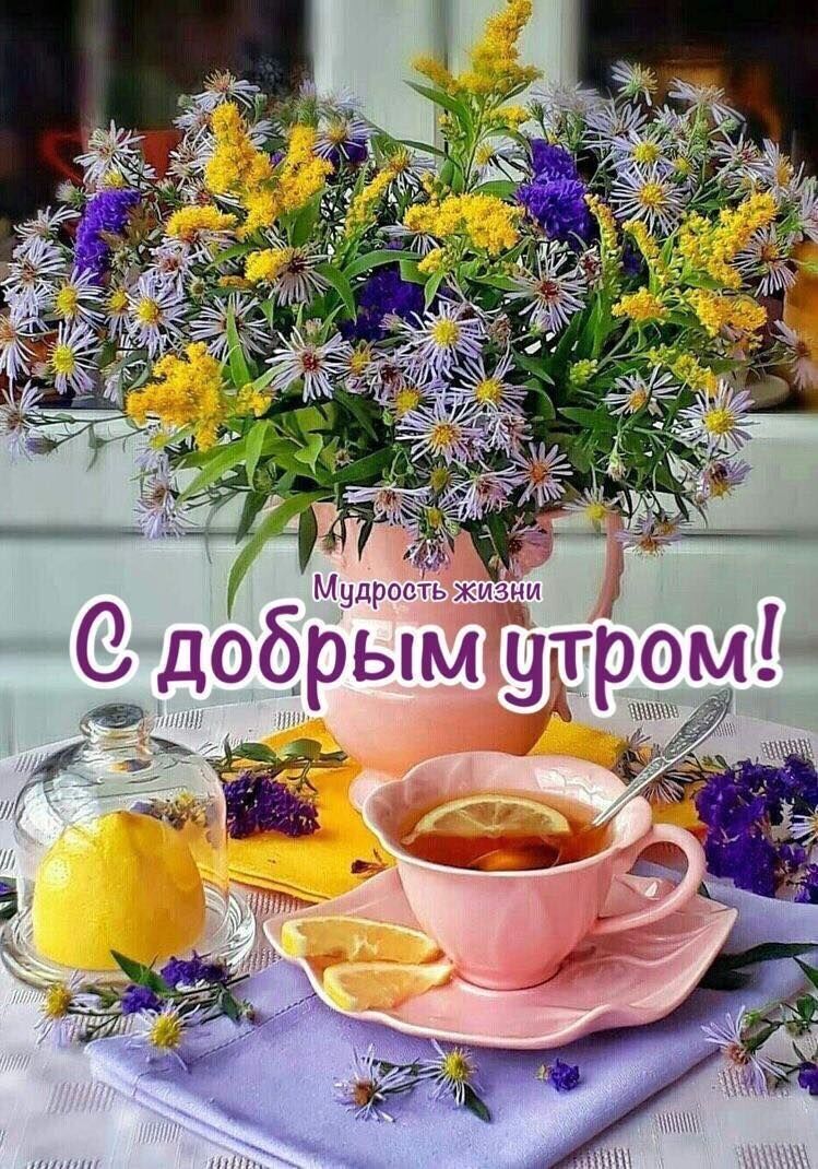 ,   Fedor, 62 ,   ,   