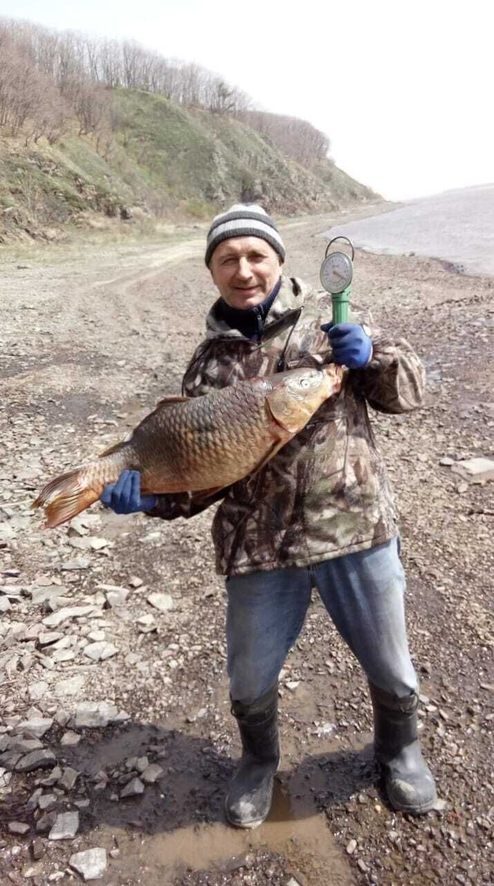  40448119  Aleksandr, 66 ,    --