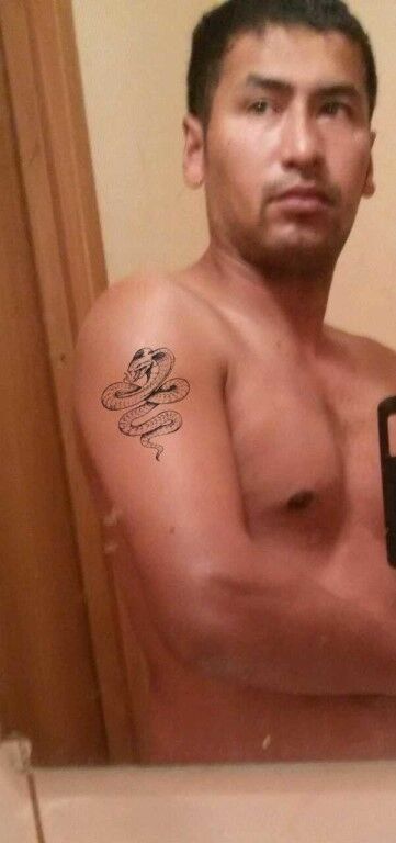  8584849  , 44 ,    