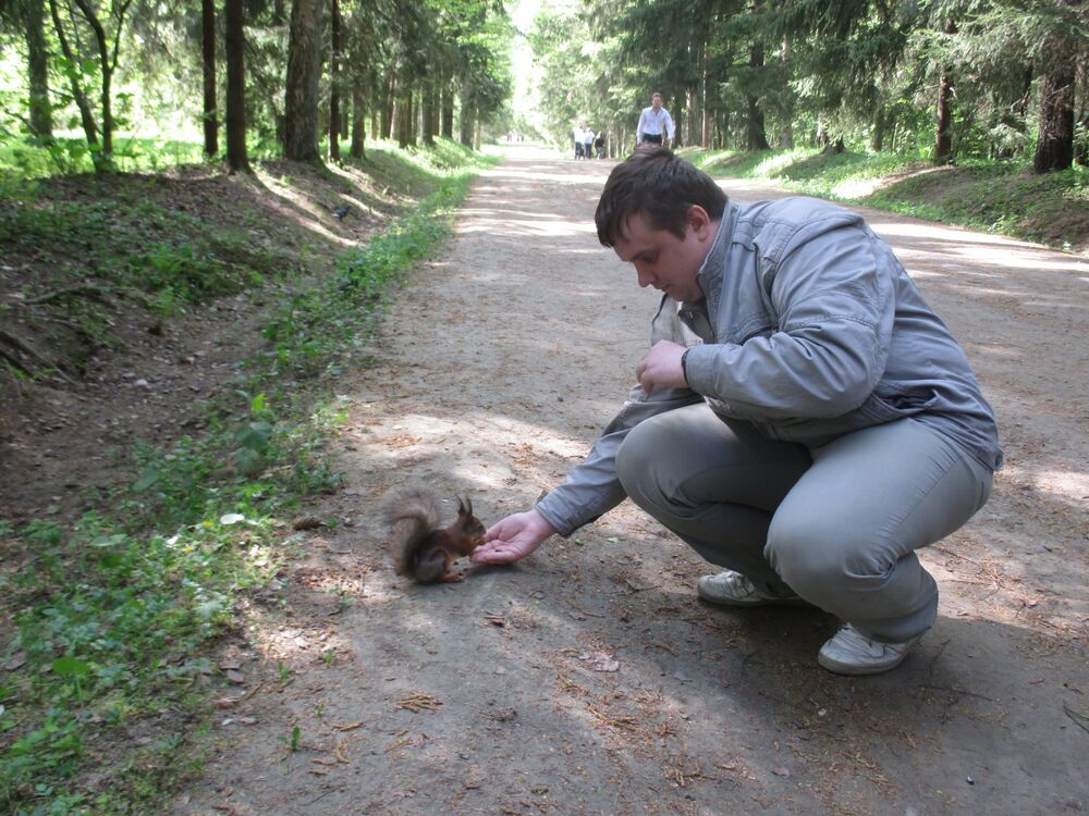 ���������� �����-���������, ���� ������� ����, 33 ����, ������������ ��� c�������� ���������