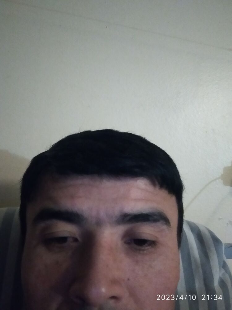 ���� 33756559 ������� ������, 40 ���, ���� ���������� � �����-����������