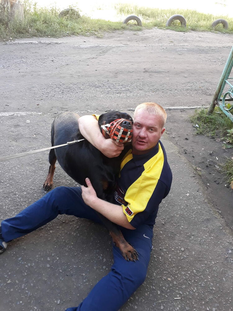 ���������� �����, ���� ������� �������, 40 ���, ������������ 