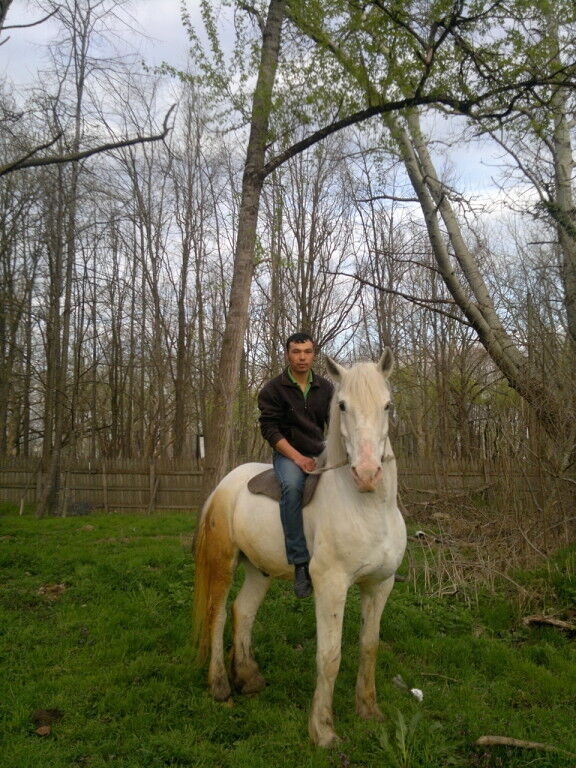 ���������� ������, ���� ������� �������, 30 ���, ������������ ��� ������, ����� � ���������, c�������� ���������