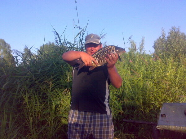 ���������� ������, ���� ������� Aleksey, 44 ����, ������������ ��� ������, ����� � ���������, c�������� ���������, ���������