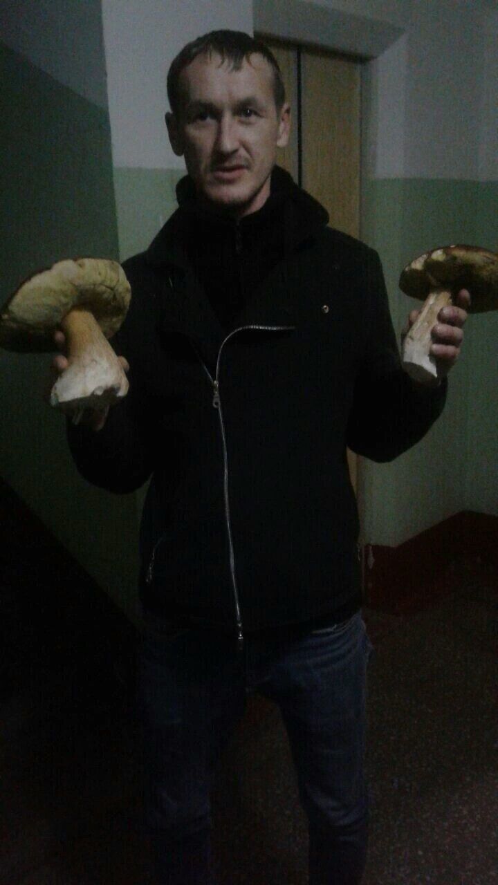 ���� 32053189 ������� Makedonec, 38 ���, ���� ���������� � ������ ���������