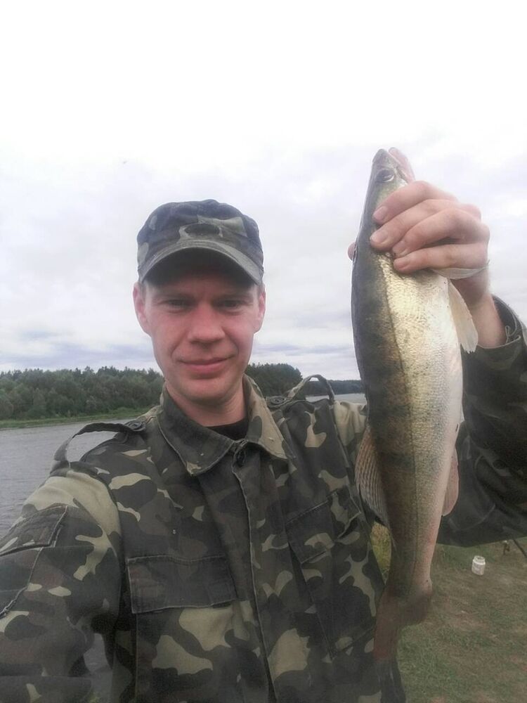 ���� 17136569 ������� ����, 31 ���, ���� ���������� � ������