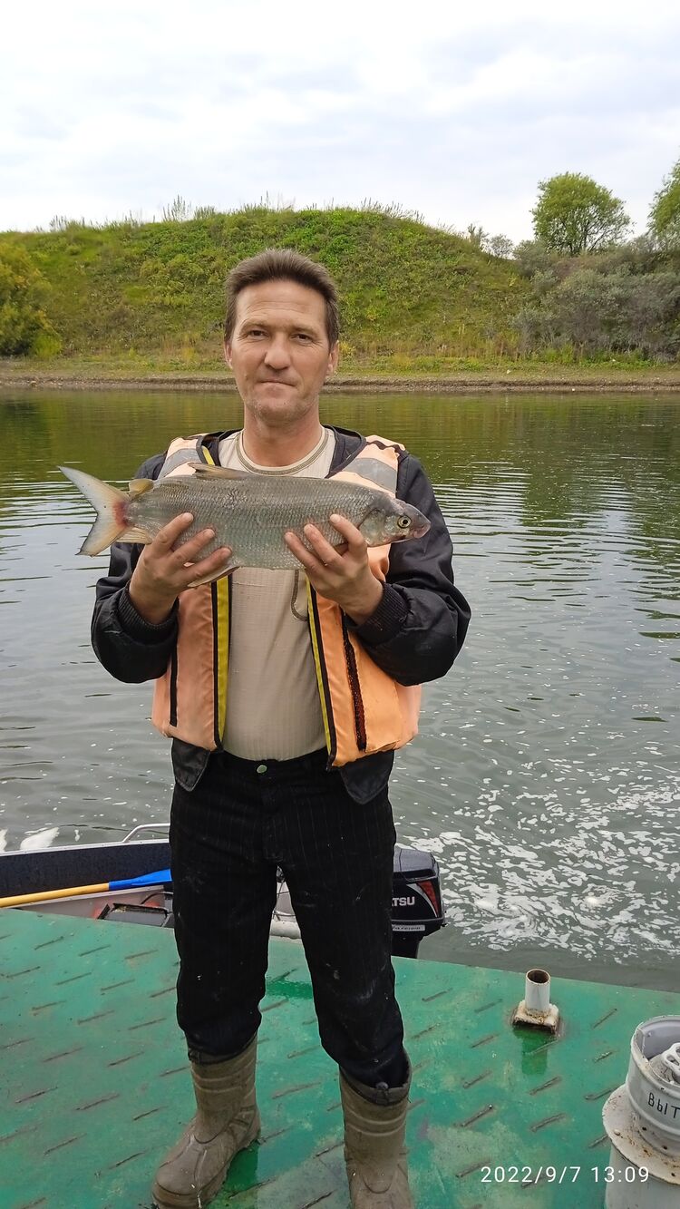 ���������� ����������, ���� ������� �������, 48 ���, ������������ ��� ������, ����� � ���������