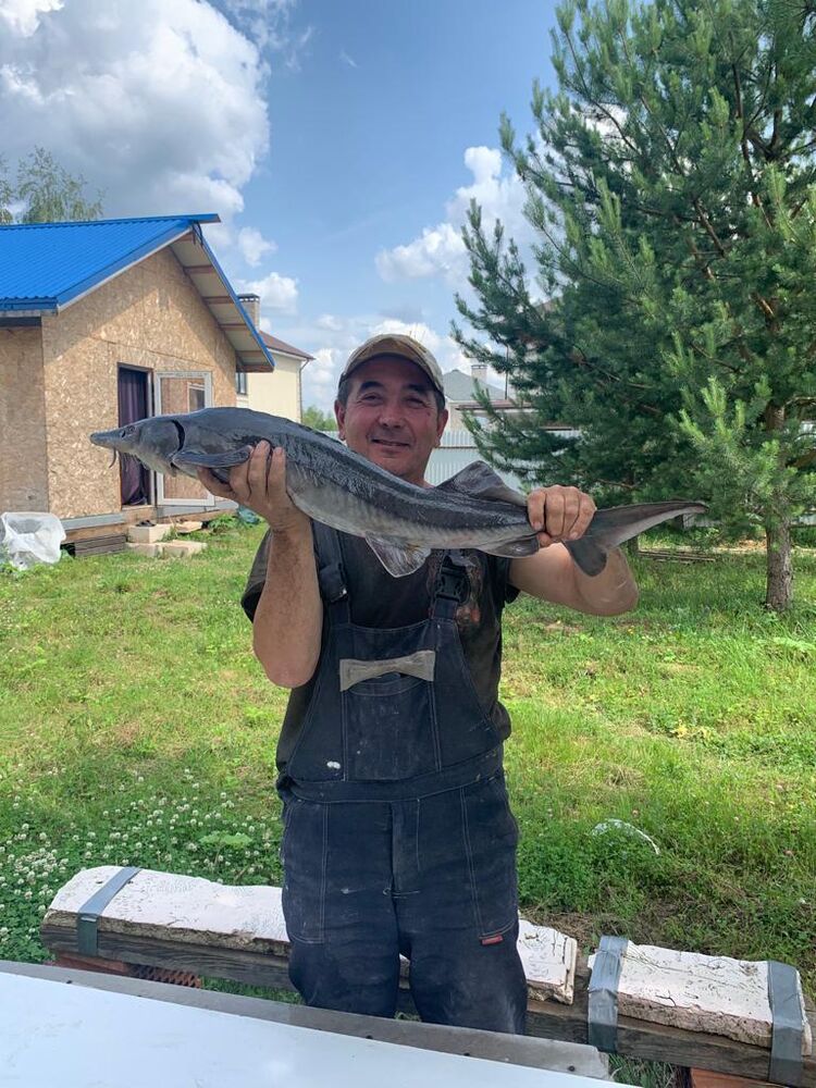 ���������� ������, ���� ������� ������, 52 ����, ������������ ��� ������, ����� � ���������