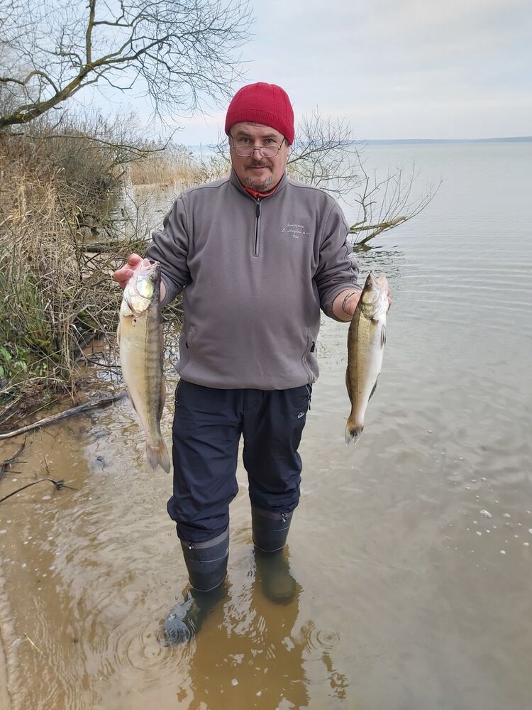  ,   , 59 ,  