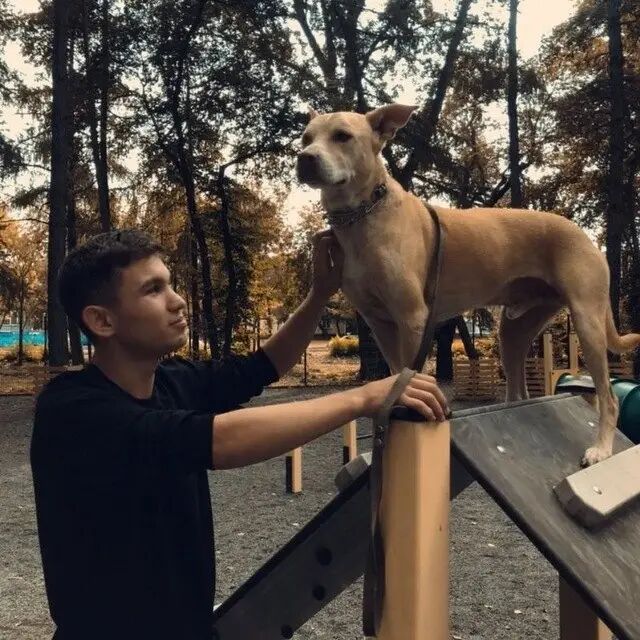 ���� 44149219 ����� �����, 25 ���, ���� ���������� � ����������