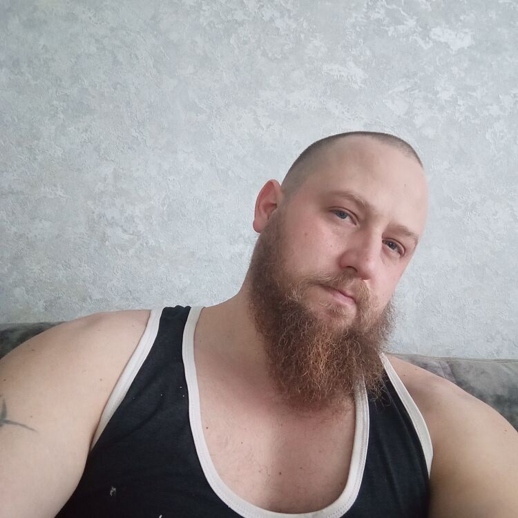  40663369  , 34 ,    