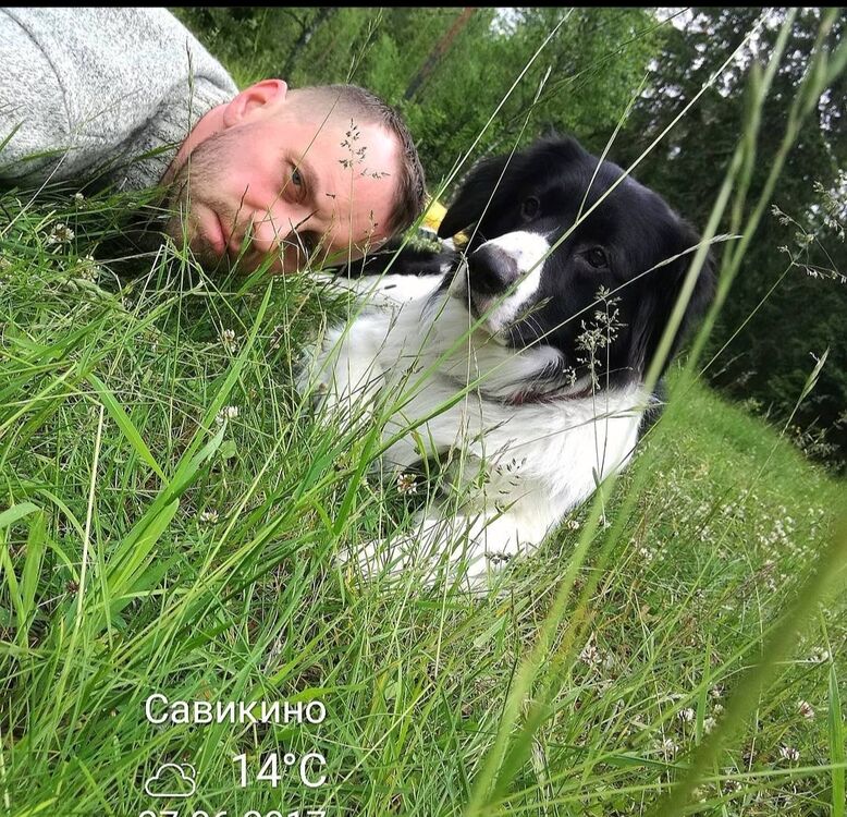 ���������� �����-���������, ���� ������� ���������, 50 ���, ������������ ��� ������, ����� � ���������, c�������� ���������