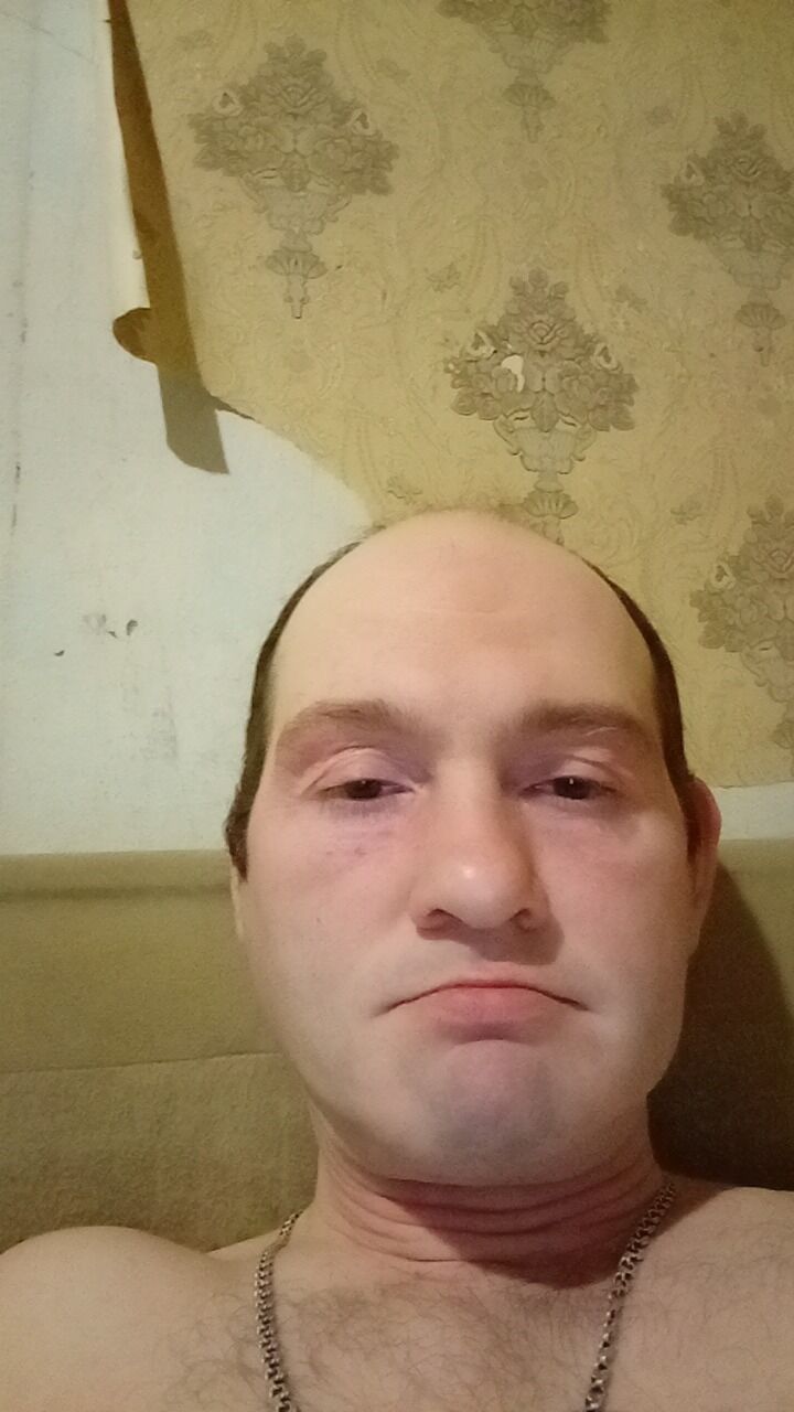  42318069  , 43 ,    