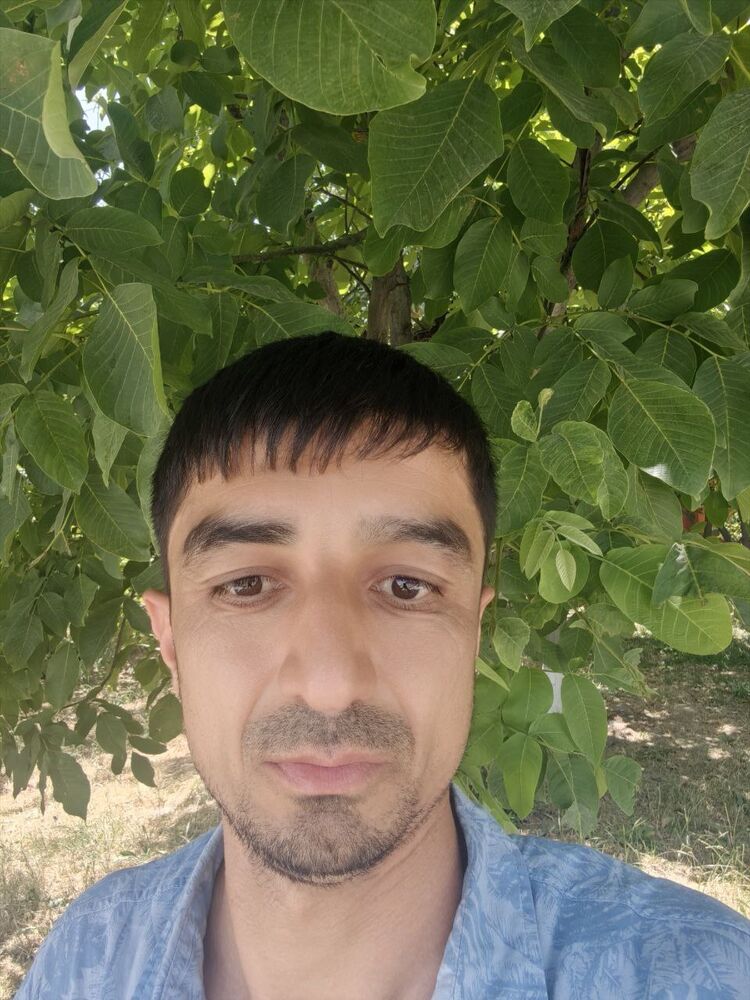  45528169  , 25 ,    