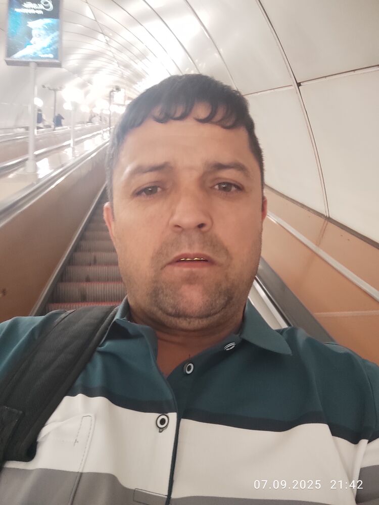  53950249  , 40 ,    -