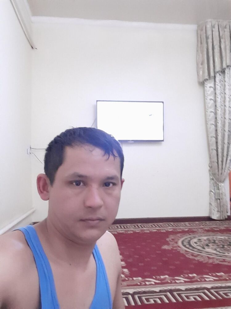  34131859  , 38 ,    