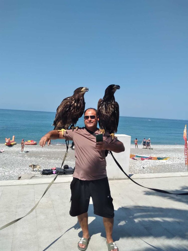  ,   , 44 ,   ,   