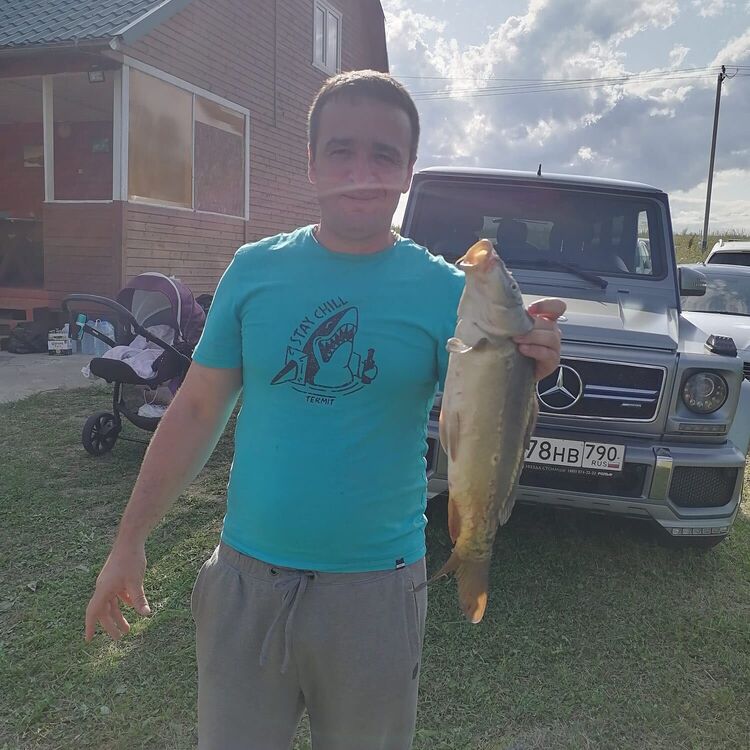 ���������� ������, ���� ������� ������, 39 ���, ������������ ��� ������, ����� � ���������