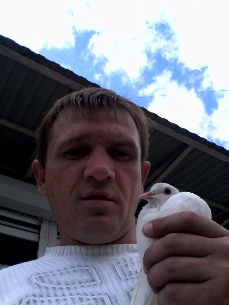 ���� 24262099 ������� �������, 41 ���, ���� ���������� � ������