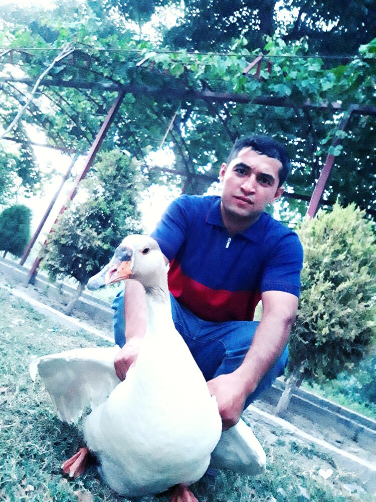  24149889  Zaza, 27 ,    