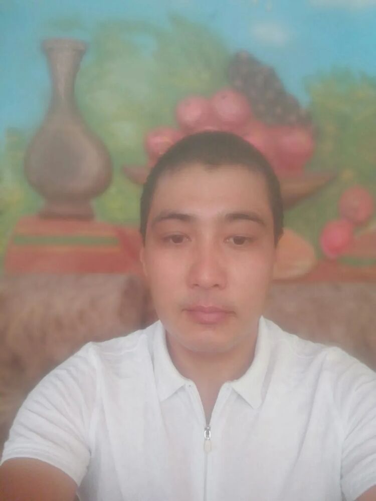  46839799  , 31 ,    