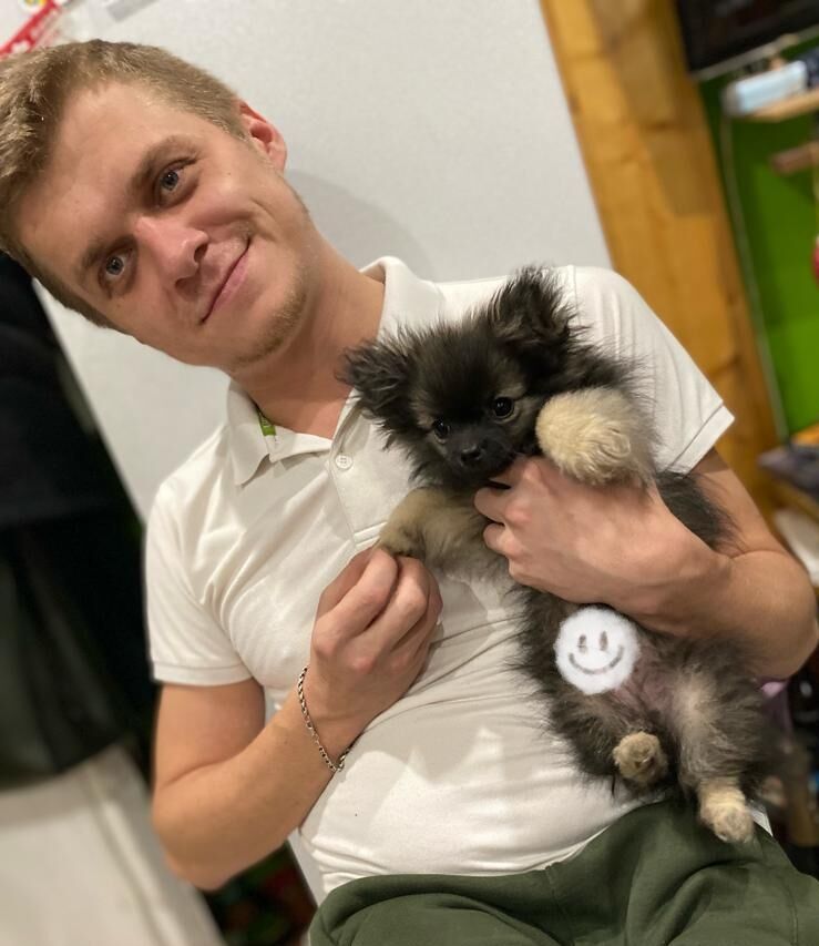 ���������� ����, ���� ������� �������, 33 ����, ������������ ��� ������