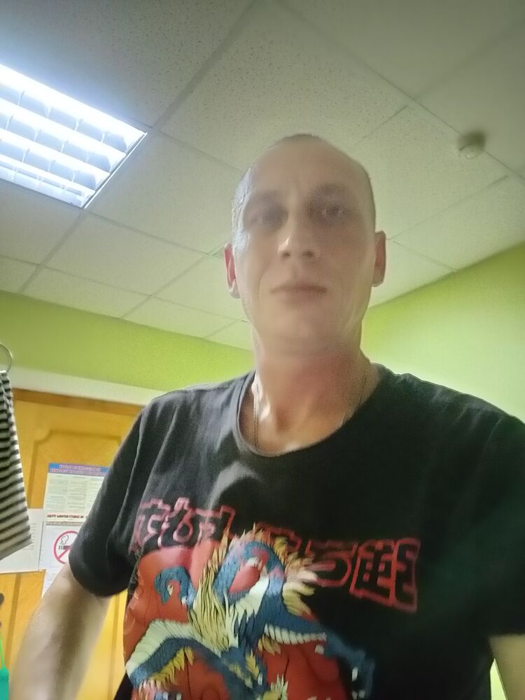  29615279  , 43 ,    